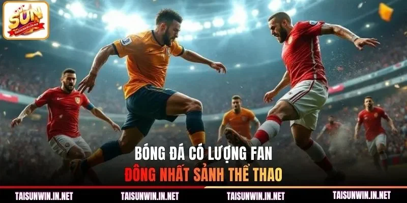 Bóng đá có lượng fan đông nhất sảnh chơi
