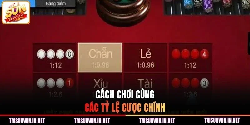 Cách chơi cùng các tỷ lệ cược chính