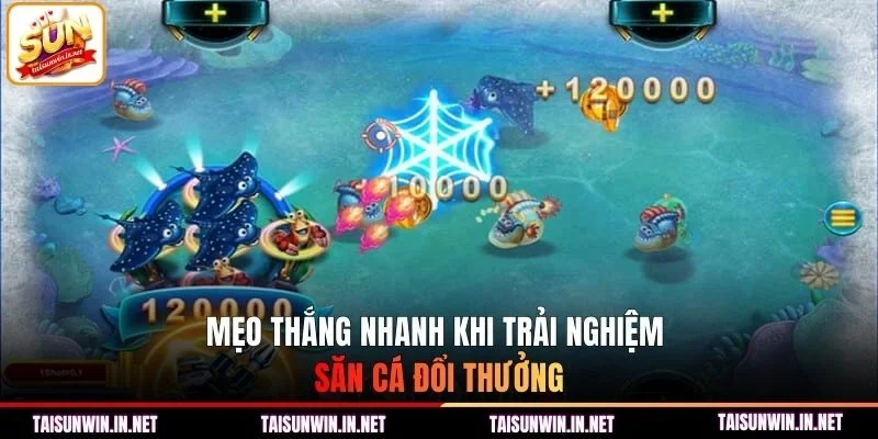 Mẹo thắng nhanh khi trải nghiệm săn cá đổi thưởng
